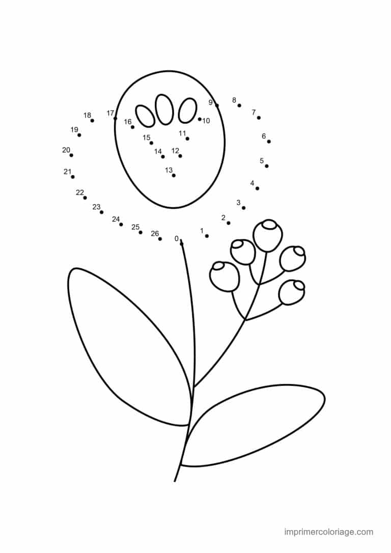 point a relier fleur 1 a 27 fleur et baies - dessin gratuit &agrave; imprimer