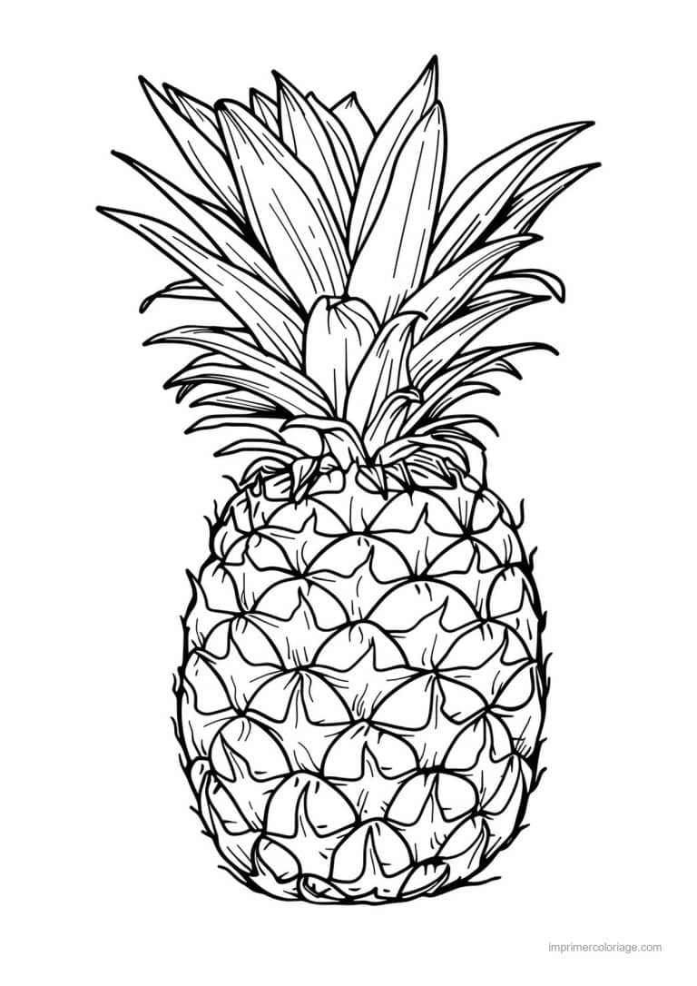 coloriage ananas ananas a la couronne fournie 133 - dessin gratuit &agrave; imprimer