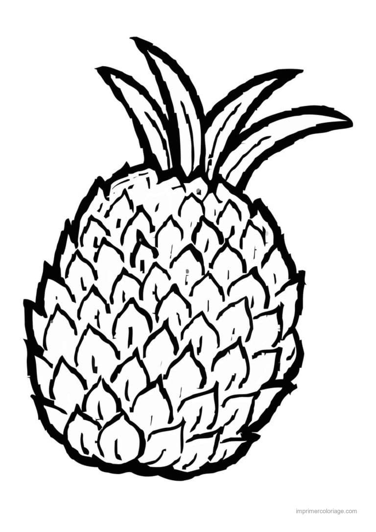 coloriage ananas ananas a la couronne fournie 2 - dessin gratuit &agrave; imprimer