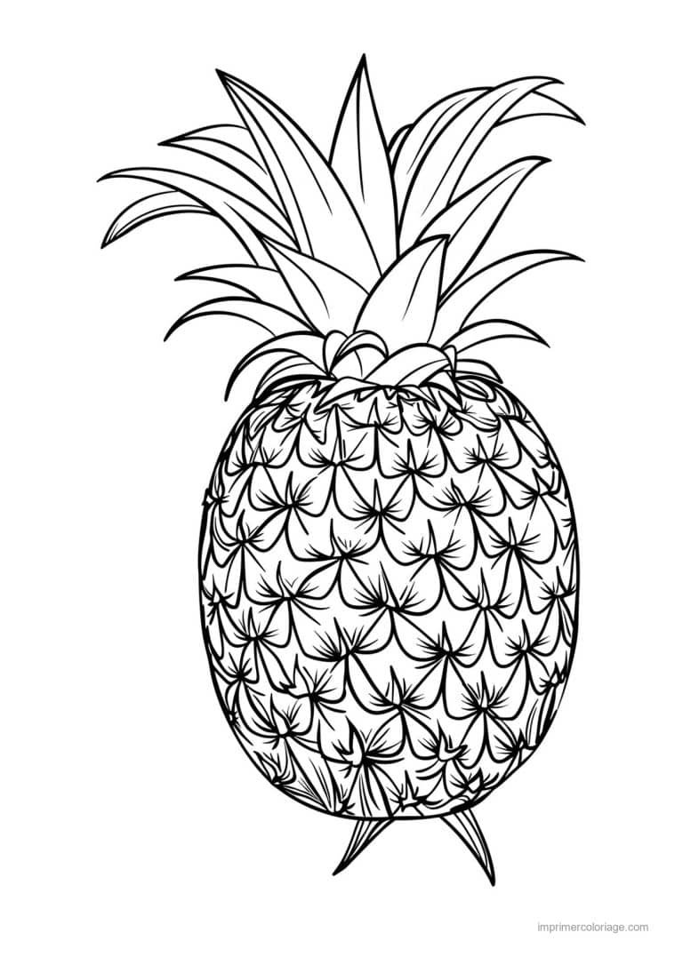 coloriage ananas ananas a la couronne fournie 32 - dessin gratuit &agrave; imprimer