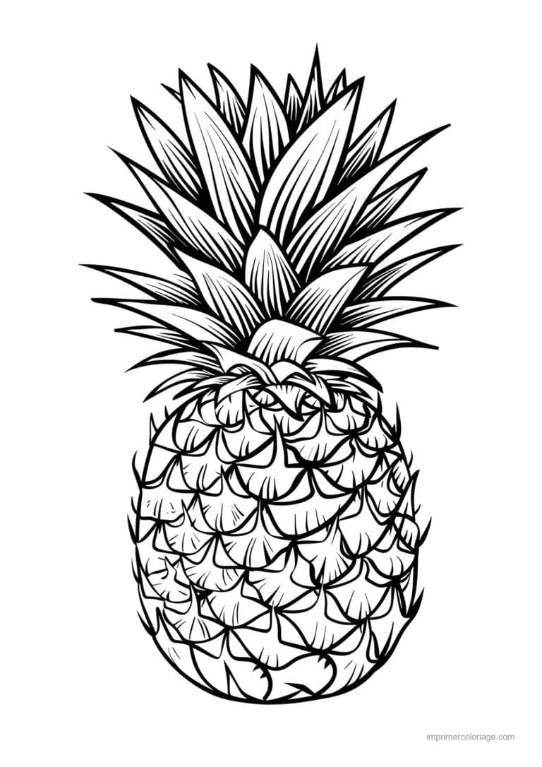 coloriage ananas ananas a la couronne fournie 79 - dessin gratuit &agrave; imprimer
