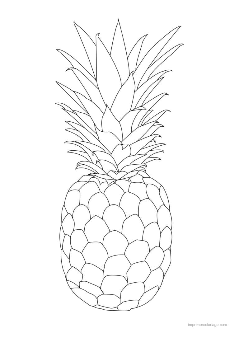 coloriage ananas ananas et sa couronne 3 - dessin gratuit &agrave; imprimer