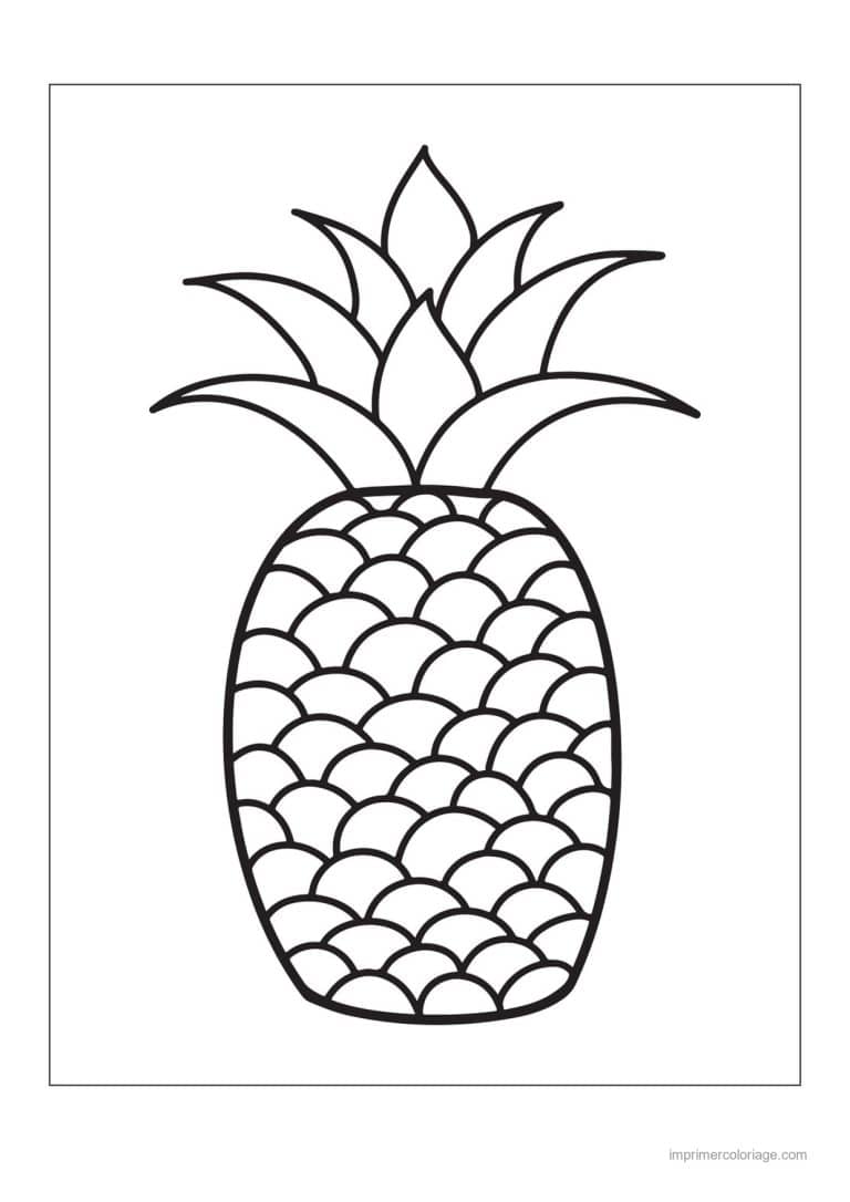 coloriage ananas ananas et sa couronne - dessin gratuit &agrave; imprimer
