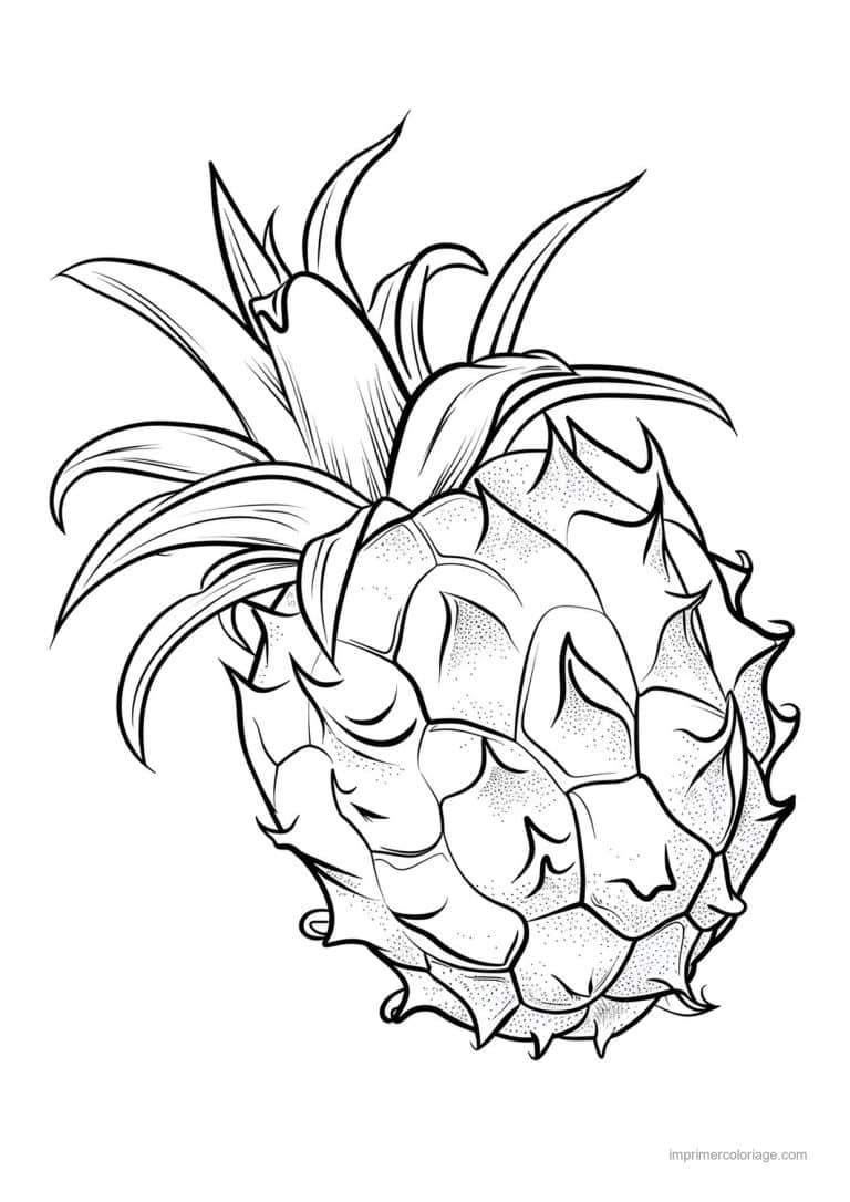 coloriage ananas ananas grave 74 - dessin gratuit &agrave; imprimer