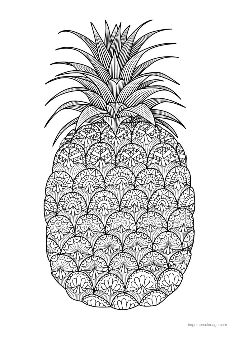 coloriage ananas ananas mandala - dessin gratuit &agrave; imprimer
