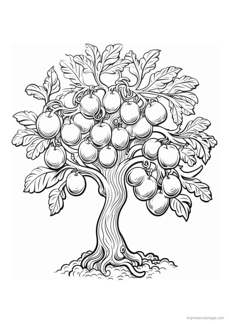 coloriage arbre a pommes et feuilles - dessin gratuit &agrave; imprimer