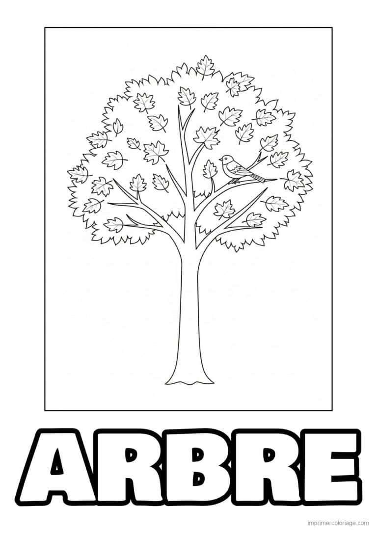 coloriage arbre d automne et oiseau - dessin gratuit &agrave; imprimer
