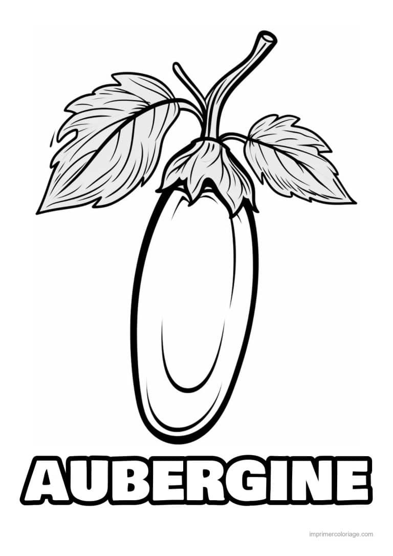 coloriage aubergine aubergine et son calice 4 - dessin gratuit &agrave; imprimer