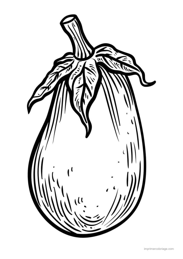coloriage aubergine aubergine gravee 165 - dessin gratuit &agrave; imprimer