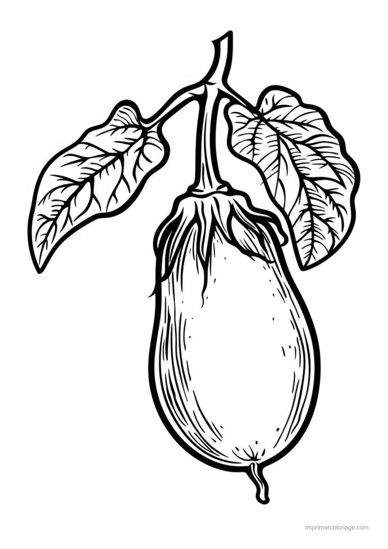 coloriage aubergine aubergine gravee 65 - dessin gratuit &agrave; imprimer