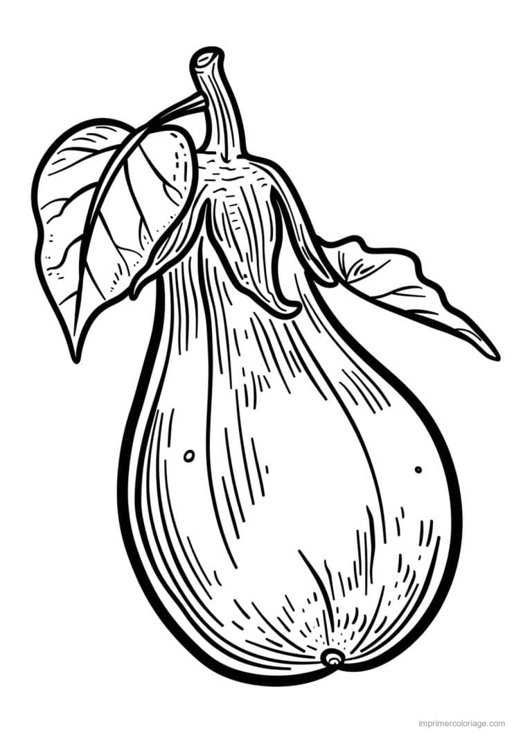 coloriage aubergine aubergine gravee 85 - dessin gratuit &agrave; imprimer