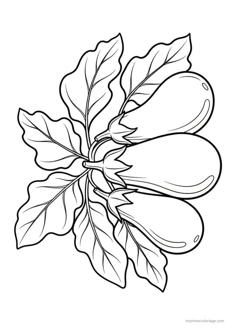 coloriage aubergine aubergines et feuilles - dessin gratuit &agrave; imprimer