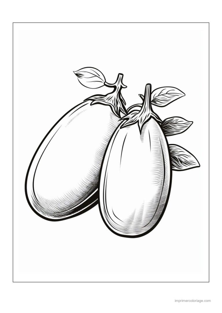 coloriage aubergine deux aubergines et leurs feuilles 49 - dessin gratuit &agrave; imprimer