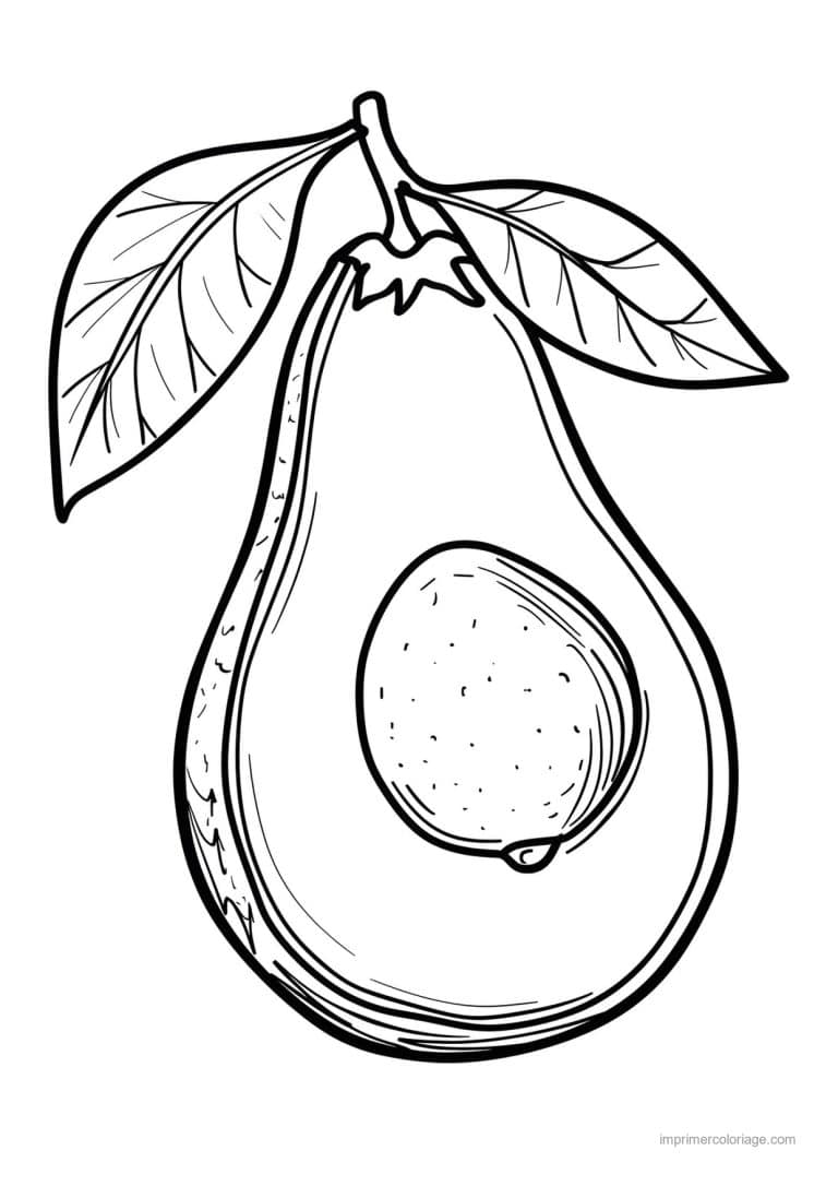 coloriage avocat avocat coupe et son noyau 118 - dessin gratuit &agrave; imprimer