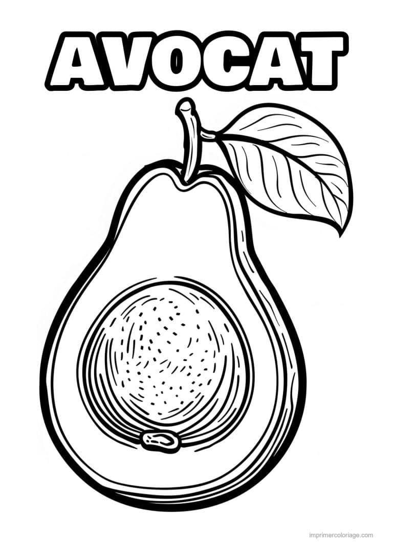 coloriage avocat avocat coupe et son noyau 129 - dessin gratuit &agrave; imprimer