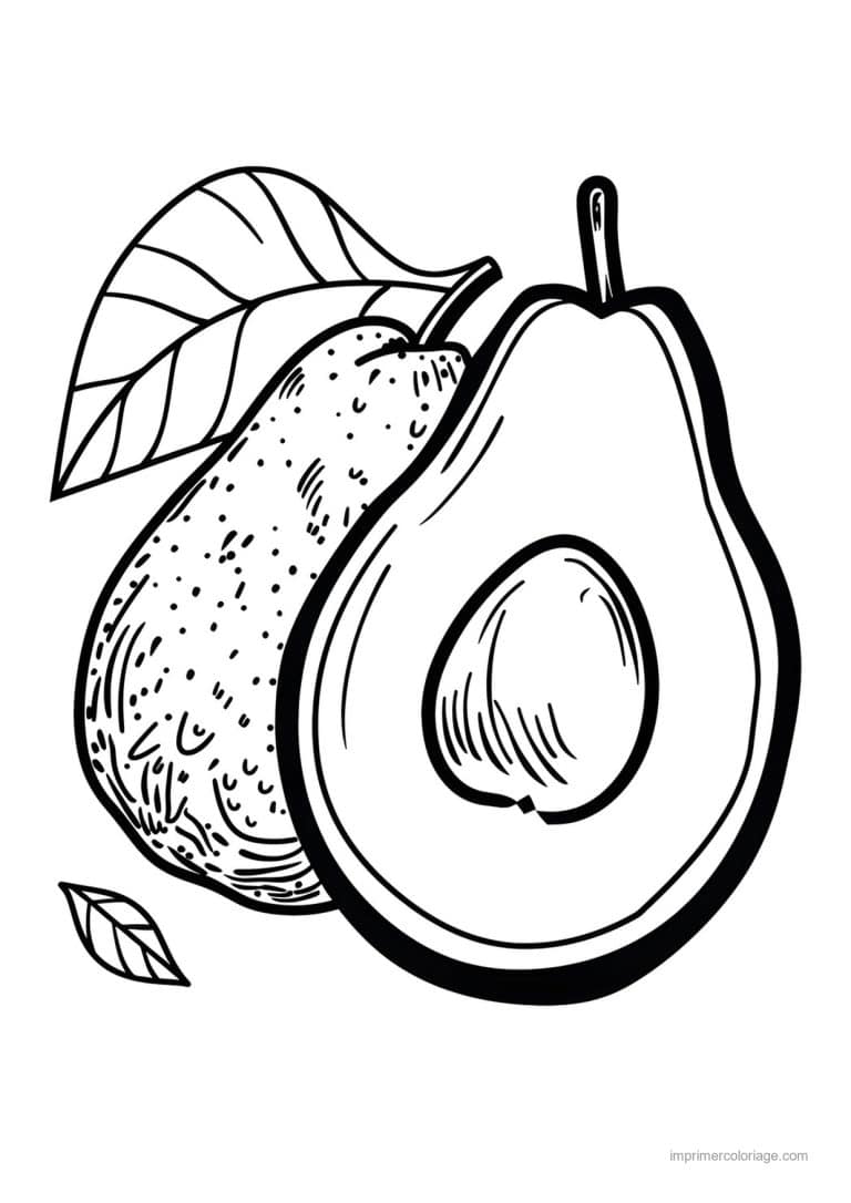 coloriage avocat avocat coupe et son noyau 209 - dessin gratuit &agrave; imprimer