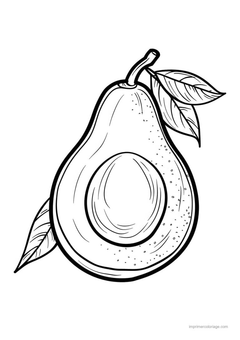coloriage avocat avocat coupe et son noyau 68 - dessin gratuit &agrave; imprimer