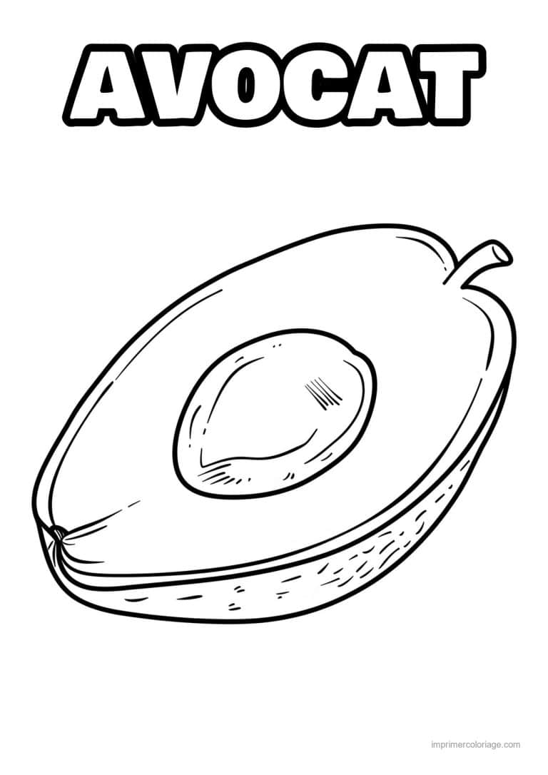 coloriage avocat avocat coupe et son noyau - dessin gratuit &agrave; imprimer