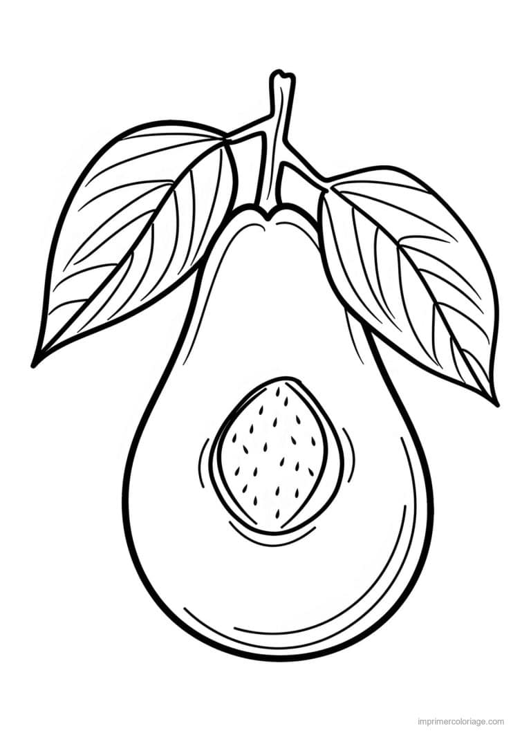 coloriage avocat avocat coupe et son noyau 84 - dessin gratuit &agrave; imprimer