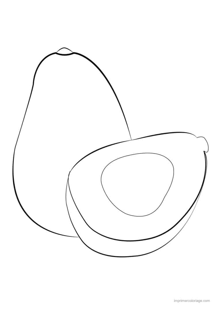 coloriage avocat avocat entier et coupe 2 - dessin gratuit &agrave; imprimer