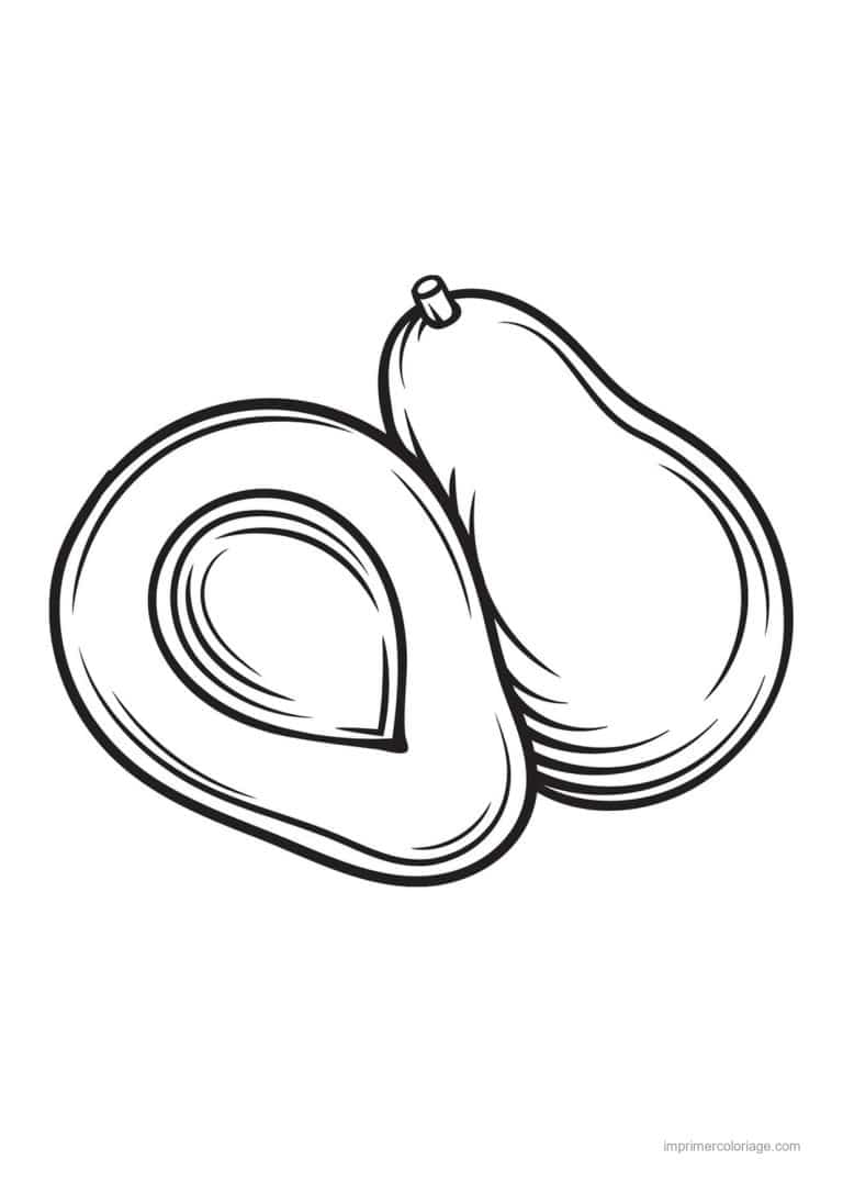 coloriage avocat avocat entier et coupe - dessin gratuit &agrave; imprimer