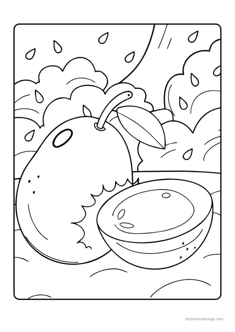 coloriage avocat avocat entier et coupe au soleil - dessin gratuit &agrave; imprimer