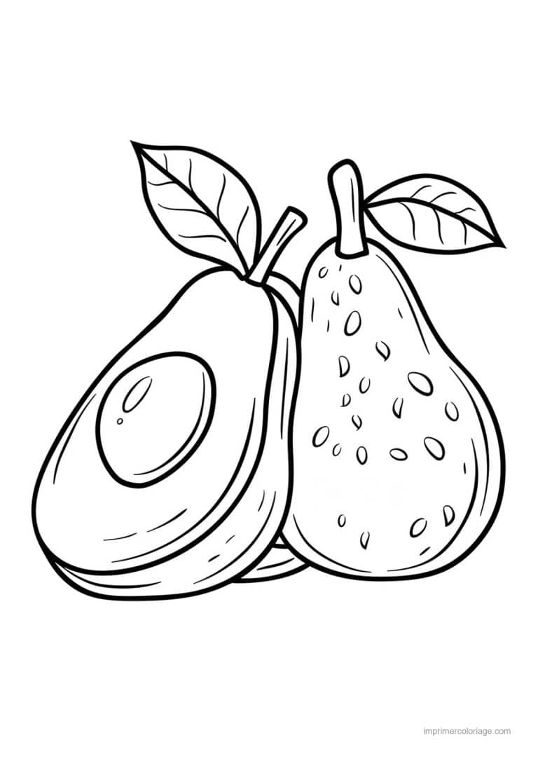 coloriage avocat avocat grave 105 - dessin gratuit &agrave; imprimer
