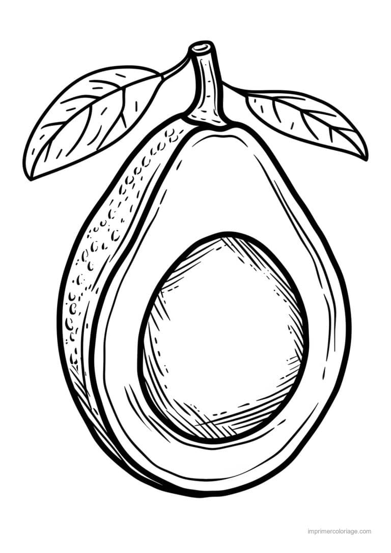 coloriage avocat avocat grave 108 - dessin gratuit &agrave; imprimer