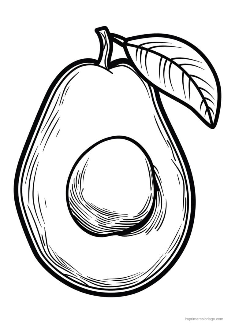 coloriage avocat avocat grave 110 - dessin gratuit &agrave; imprimer