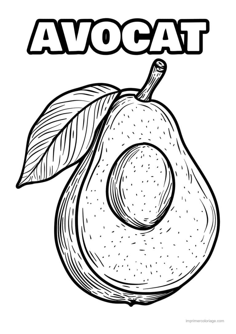 coloriage avocat avocat grave 115 - dessin gratuit &agrave; imprimer