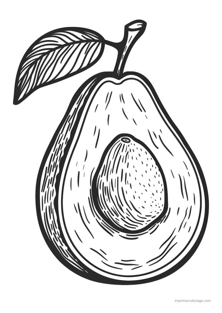 coloriage avocat avocat grave 118 - dessin gratuit &agrave; imprimer