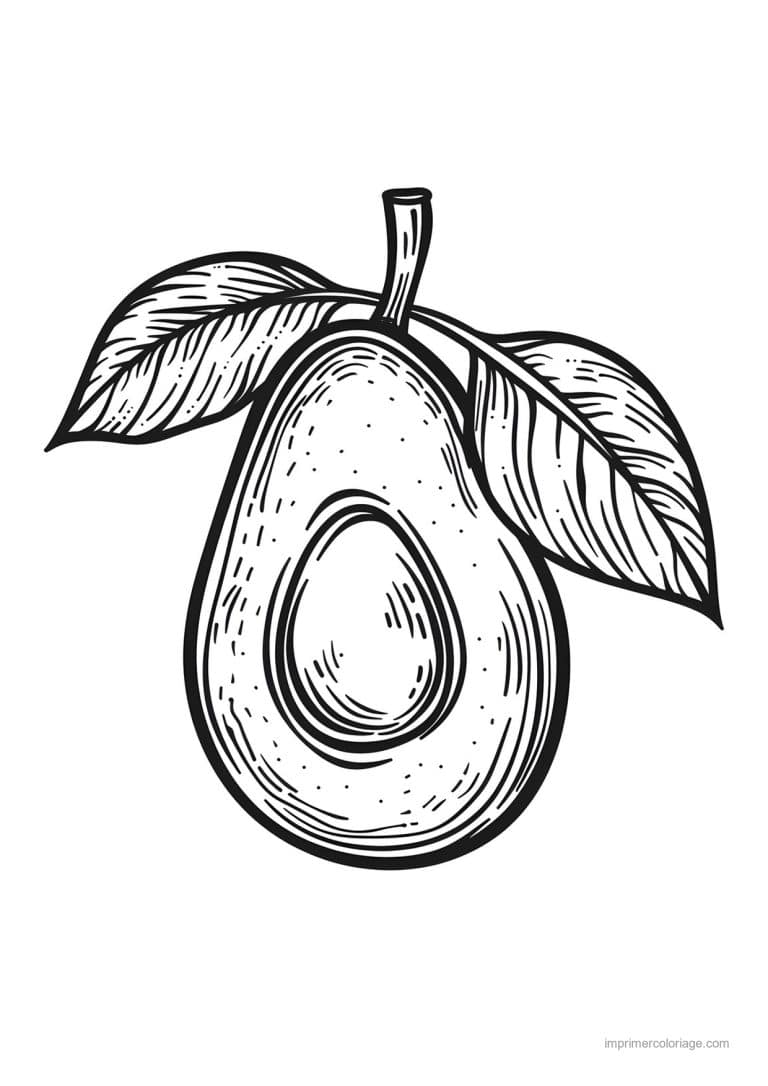 coloriage avocat avocat grave 121 - dessin gratuit &agrave; imprimer