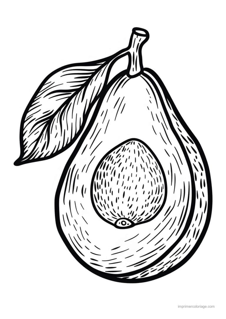 coloriage avocat avocat grave 123 - dessin gratuit &agrave; imprimer