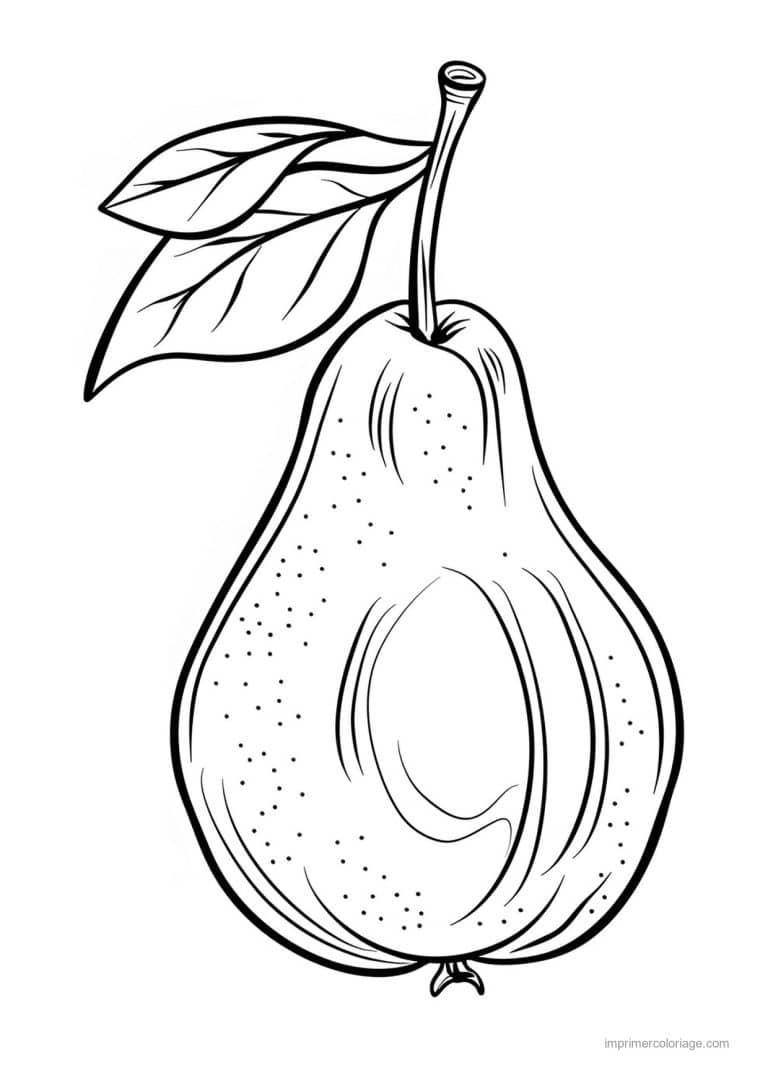 coloriage avocat avocat grave 161 - dessin gratuit &agrave; imprimer