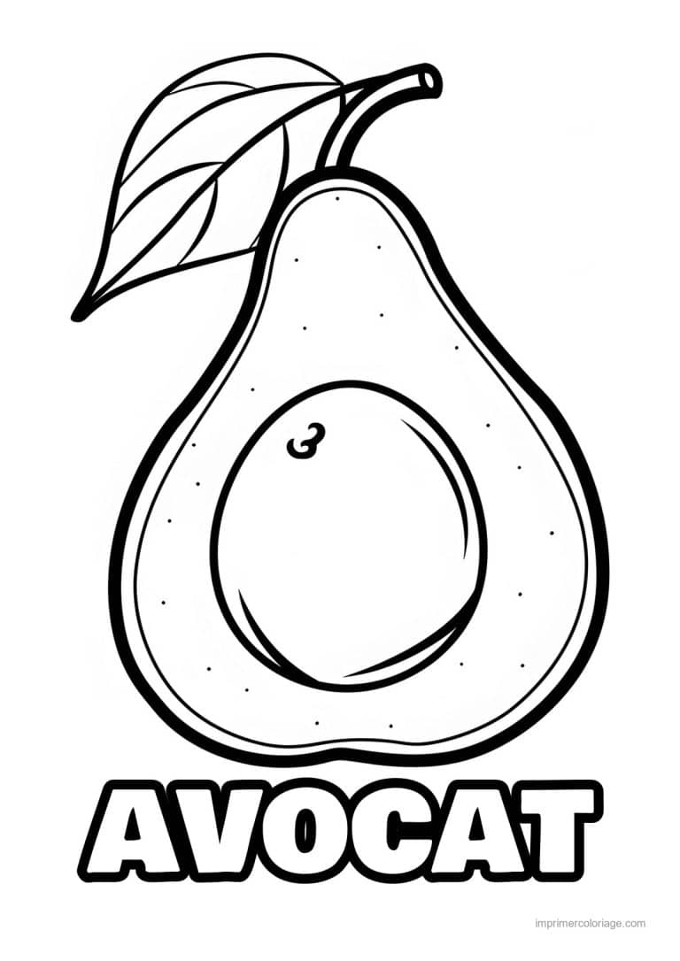 coloriage avocat avocat grave 162 - dessin gratuit &agrave; imprimer