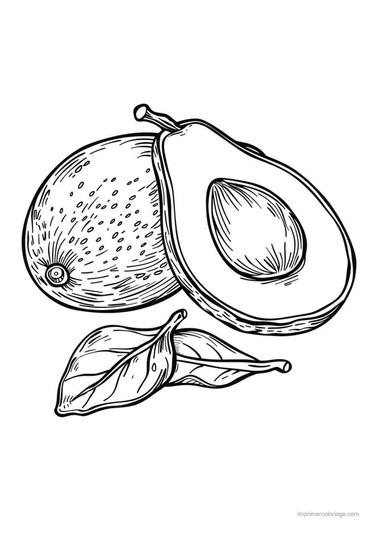 coloriage avocat avocat grave 200 - dessin gratuit &agrave; imprimer
