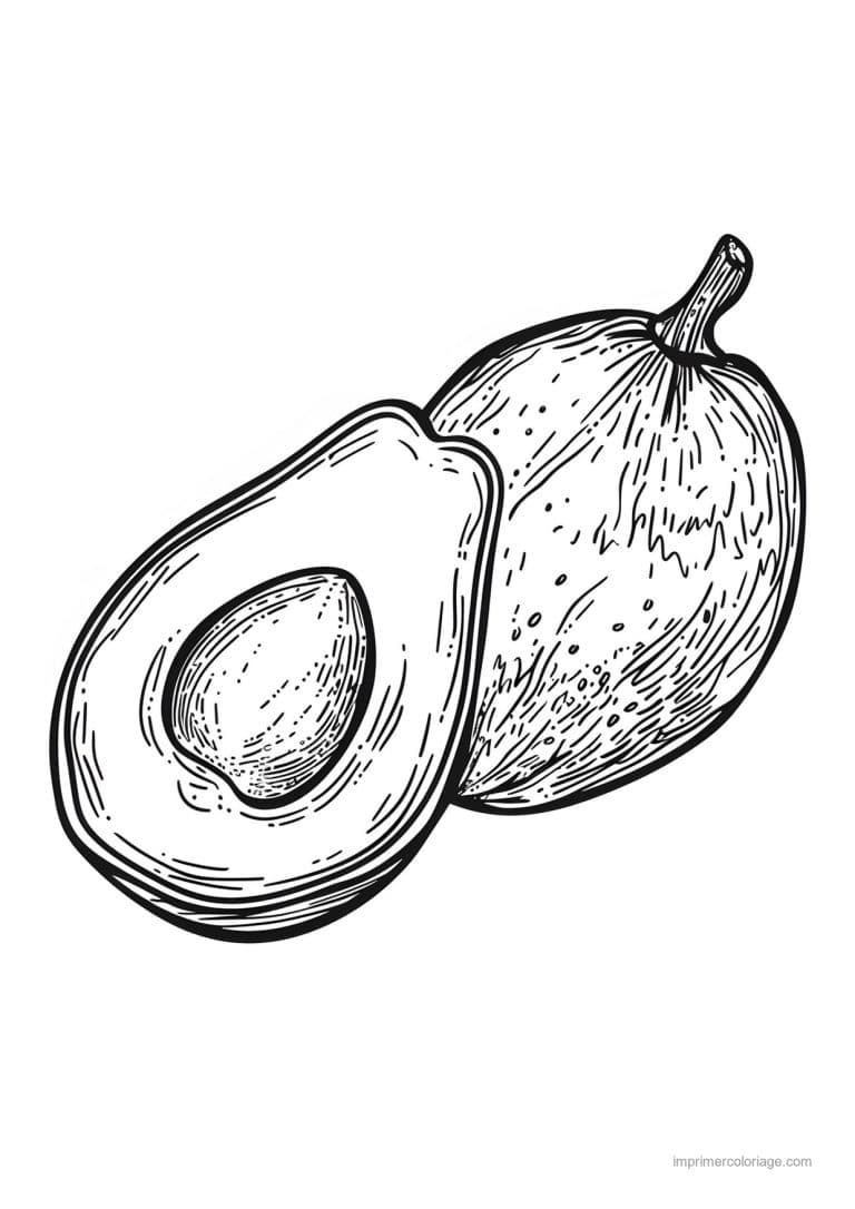 coloriage avocat avocat grave 42 - dessin gratuit &agrave; imprimer