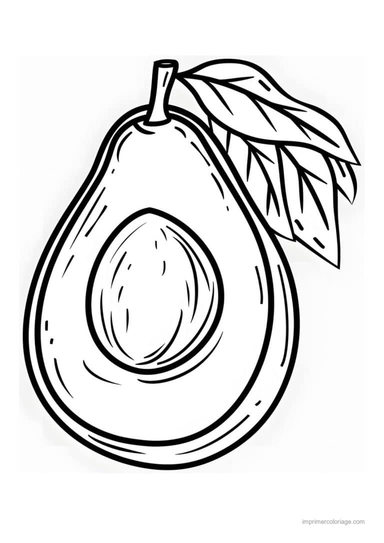 coloriage avocat avocat grave 60 - dessin gratuit &agrave; imprimer