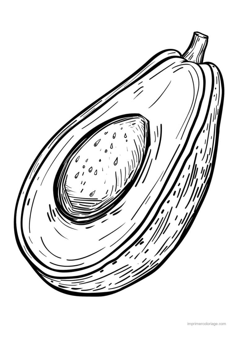 coloriage avocat avocat grave 72 - dessin gratuit &agrave; imprimer