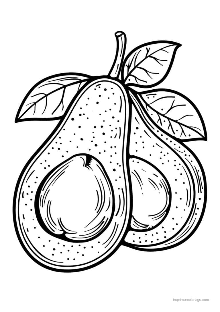 coloriage avocat avocat grave 75 - dessin gratuit &agrave; imprimer