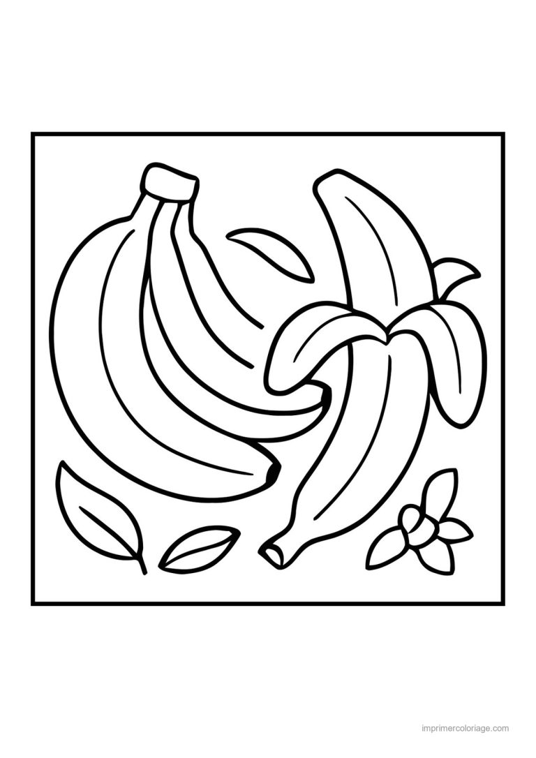 coloriage banane regime de bananes et banane epluchee - dessin gratuit &agrave; imprimer