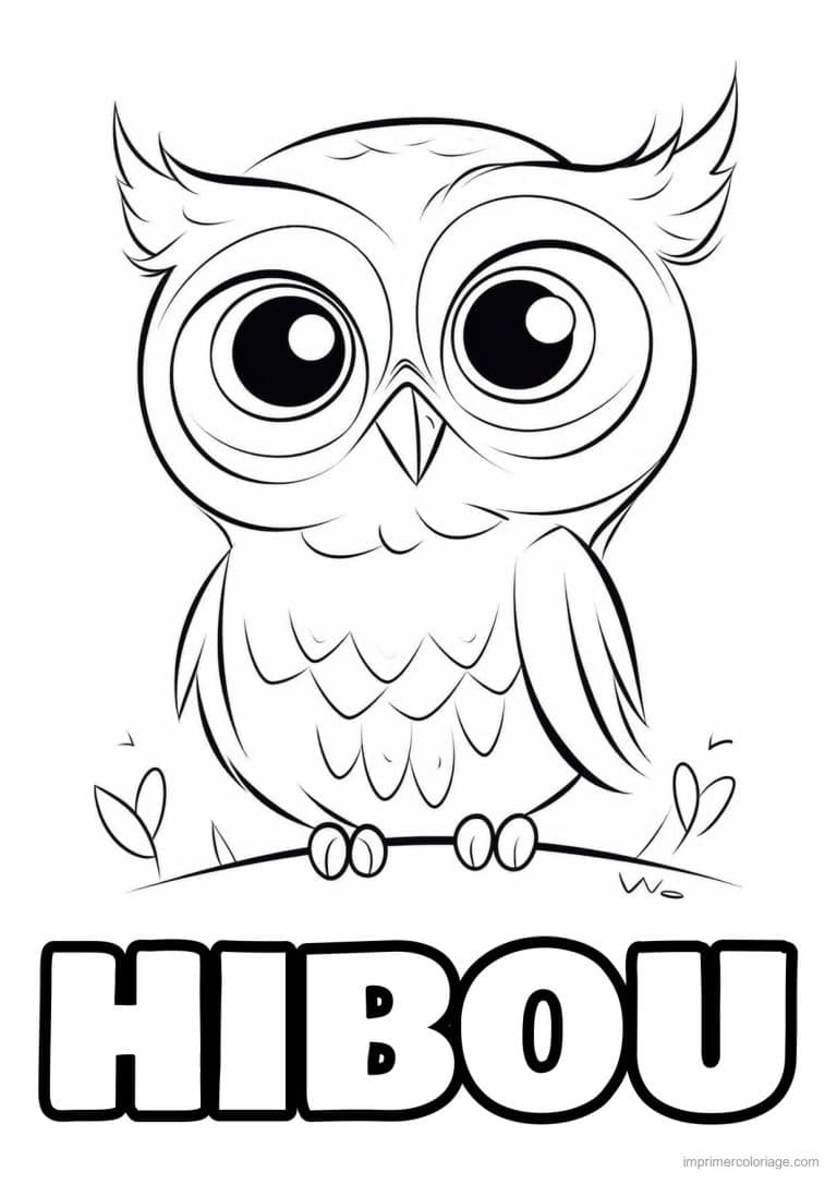 coloriage bebe hibou sur sa branche - dessin gratuit &agrave; imprimer