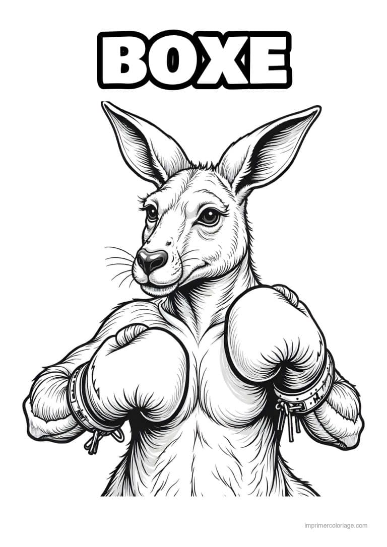 coloriage boxe kangourou boxeur 02 - dessin gratuit &agrave; imprimer