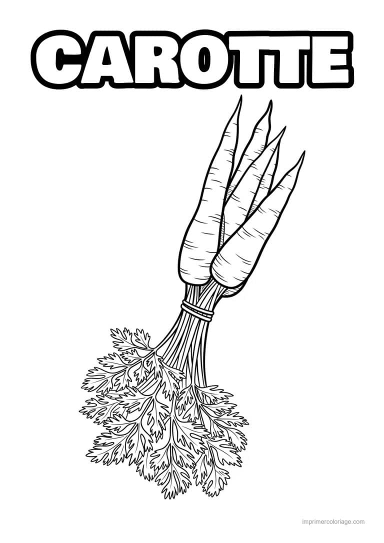 coloriage carotte botte de carottes - dessin gratuit &agrave; imprimer