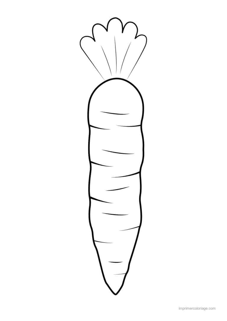 coloriage carotte carotte au trait epais 3 - dessin gratuit &agrave; imprimer