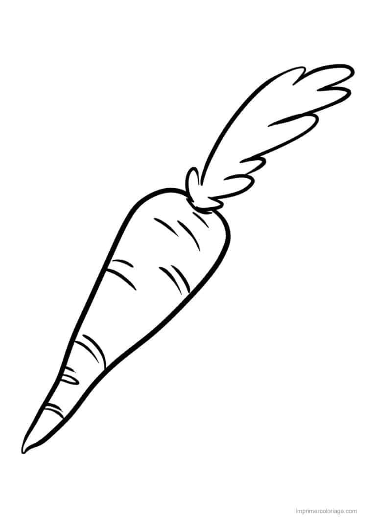 coloriage carotte carotte au trait epais - dessin gratuit &agrave; imprimer