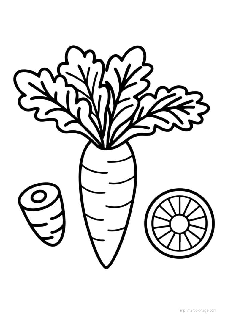 coloriage carotte carotte entiere et rondelles - dessin gratuit &agrave; imprimer