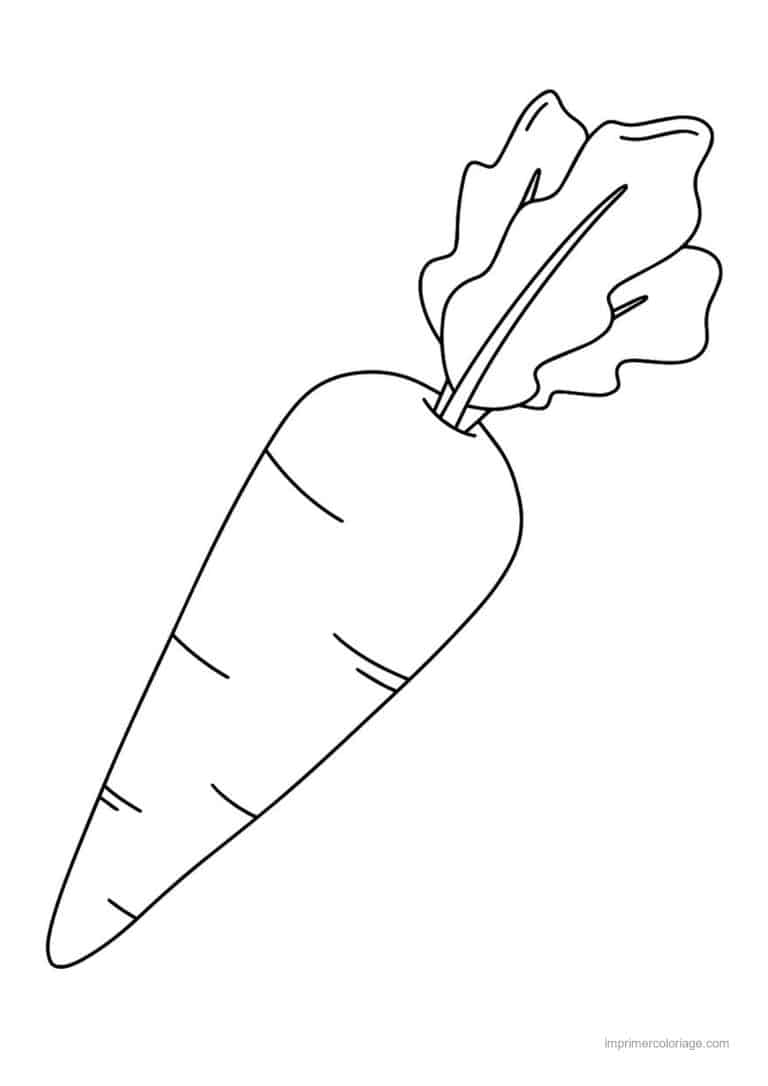 coloriage carotte carotte et ses fanes 2 - dessin gratuit &agrave; imprimer