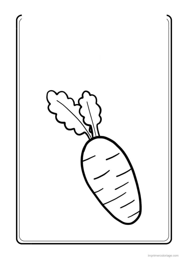 coloriage carotte carotte et ses fanes 3 - dessin gratuit &agrave; imprimer
