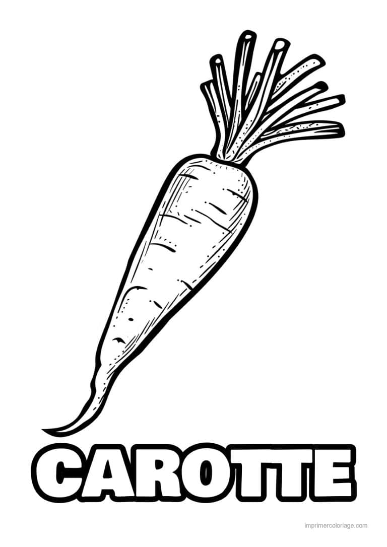coloriage carotte carotte gravee 149 - dessin gratuit &agrave; imprimer